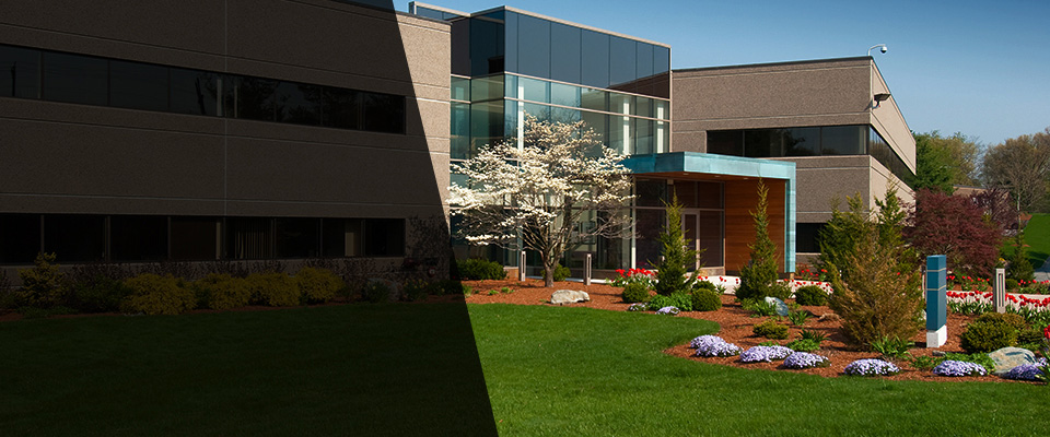 Douglas Landscapers