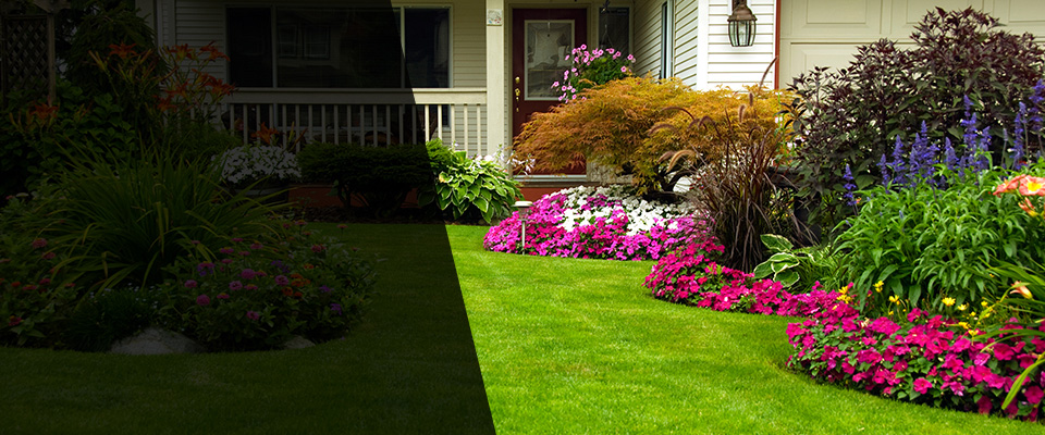 Douglas Landscapers