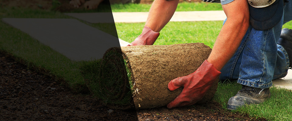 Douglas Landscapers